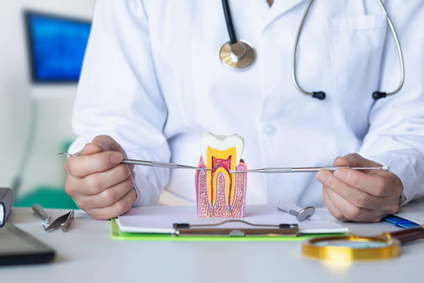 Best Weekend Emergency Dentist in Roanoke, IN